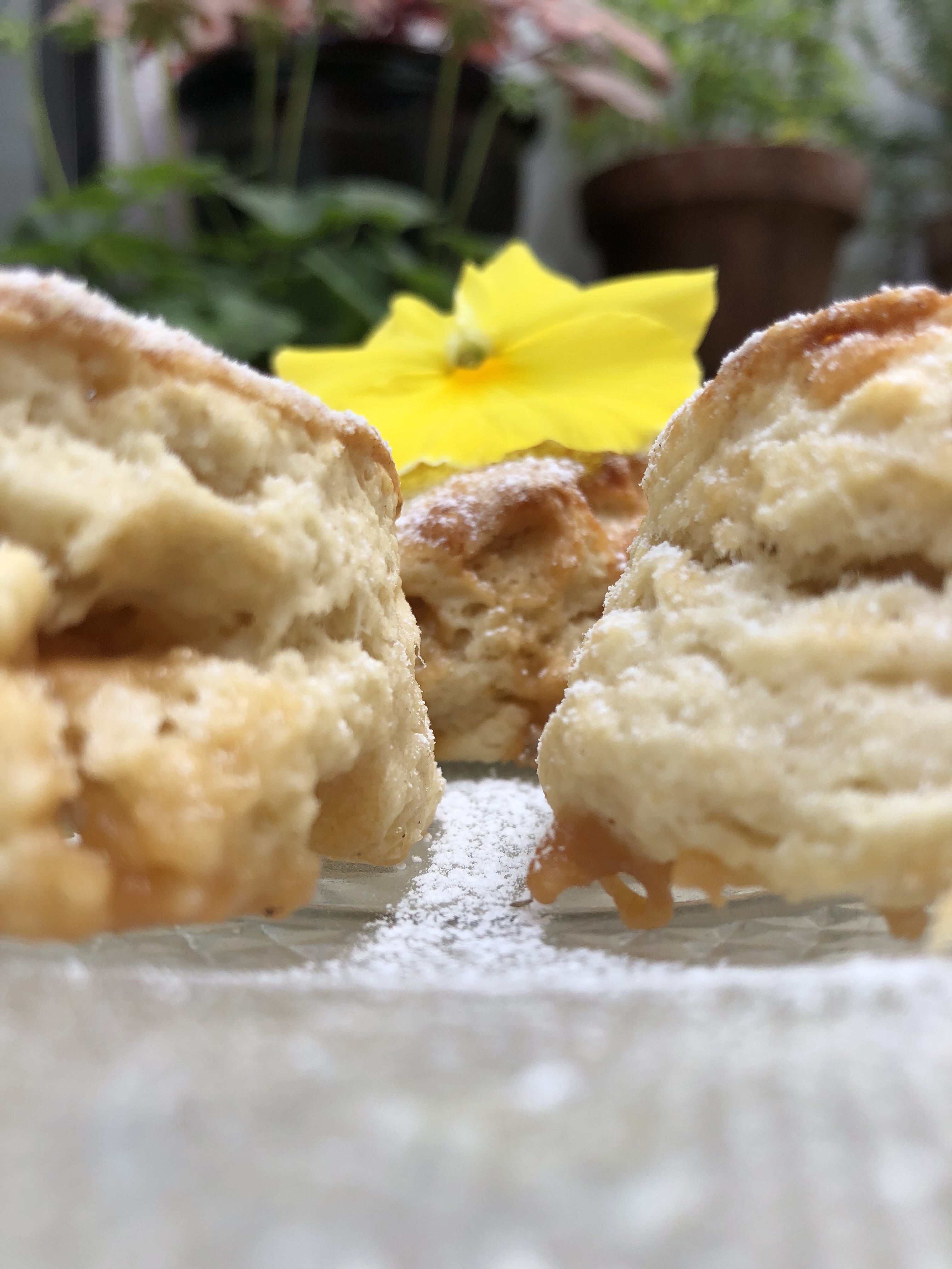 Limoncello Fudge Scones